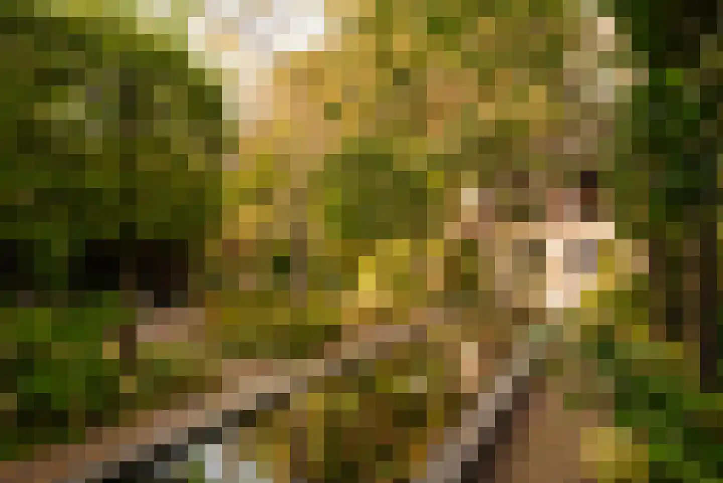 Nieuwe Keizersgracht 54 Amsterdam thumbnail 44