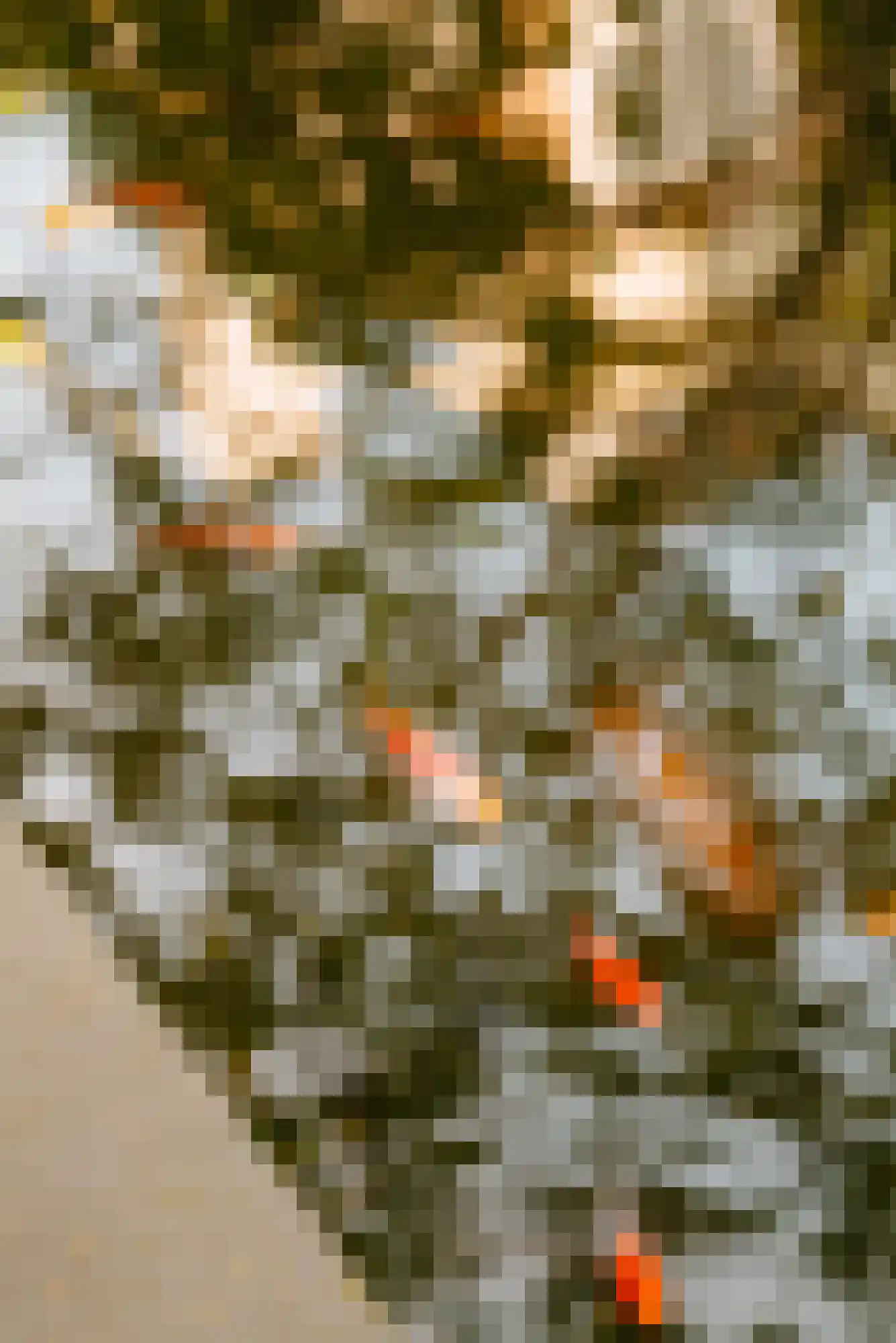 Nieuwe Keizersgracht 54 Amsterdam thumbnail 45