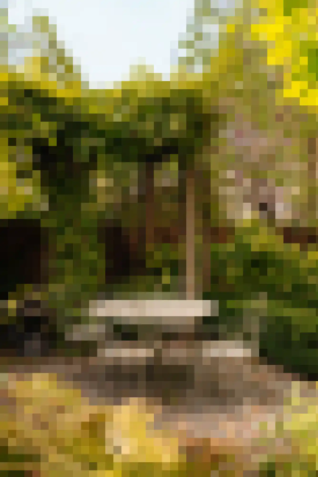 Nieuwe Keizersgracht 54 Amsterdam thumbnail 47