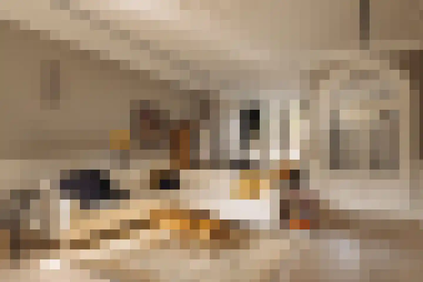 Nieuwe Keizersgracht 54 Amsterdam thumbnail 5