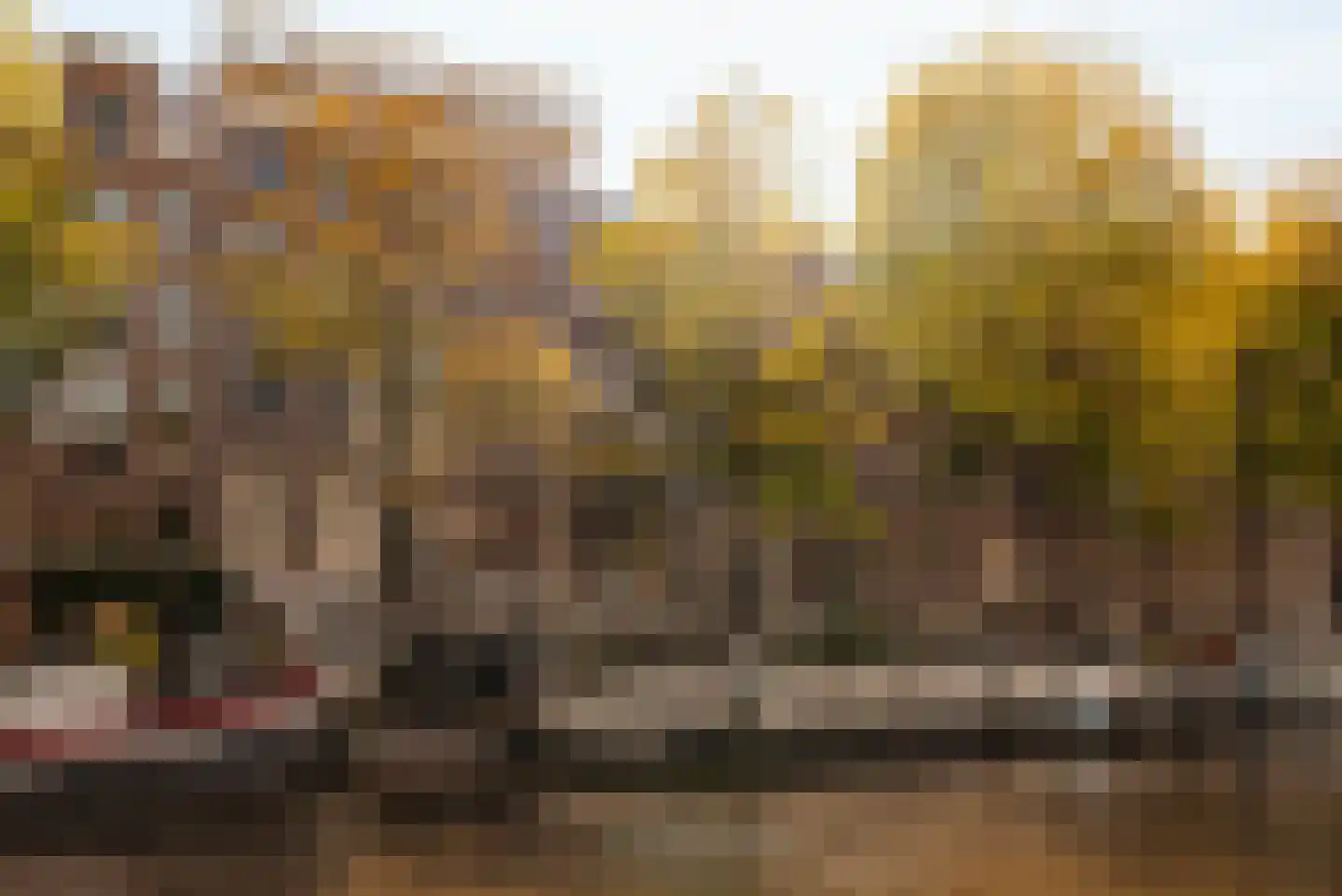 Nieuwe Keizersgracht 54 Amsterdam thumbnail 57