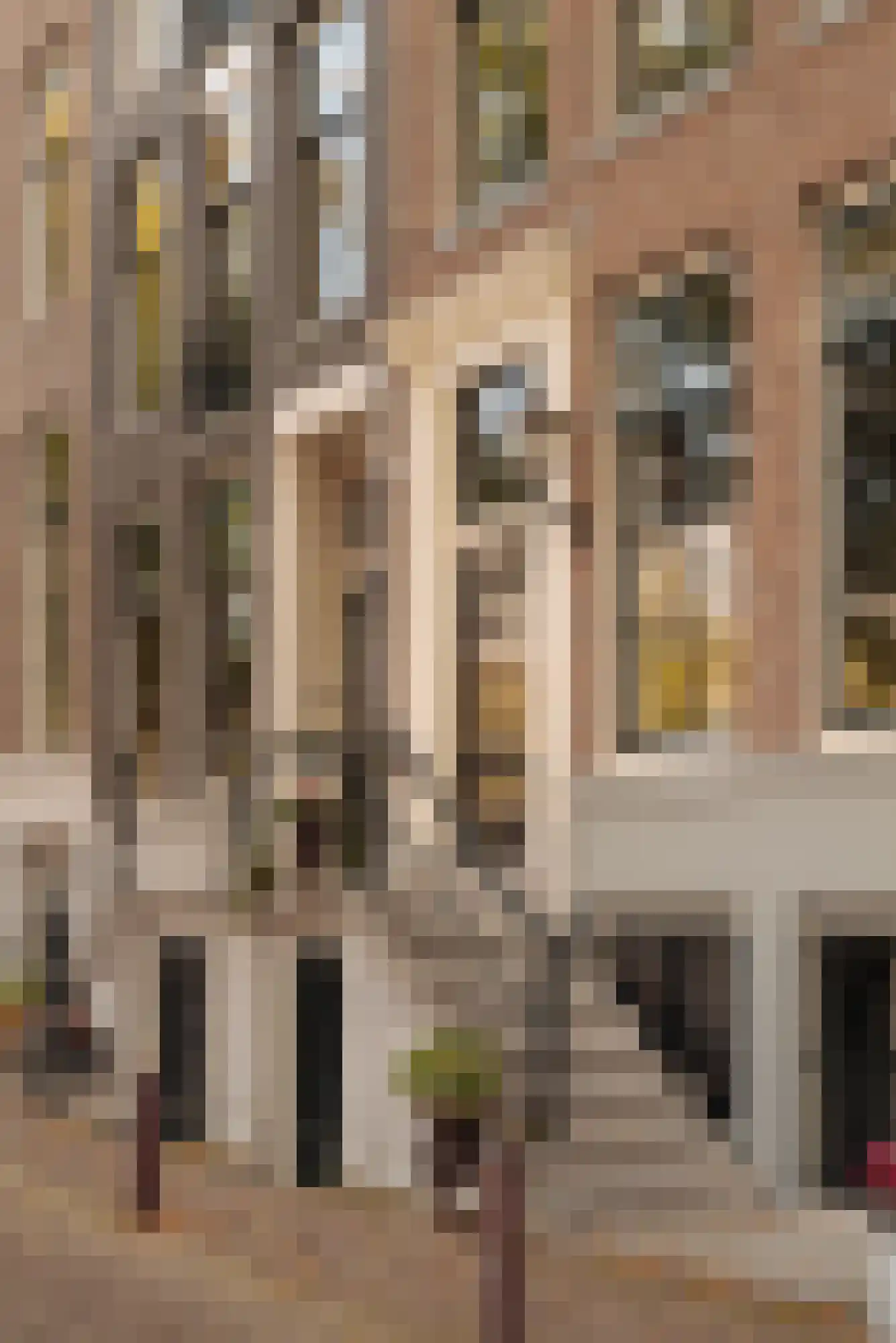 Nieuwe Keizersgracht 54 Amsterdam thumbnail 6