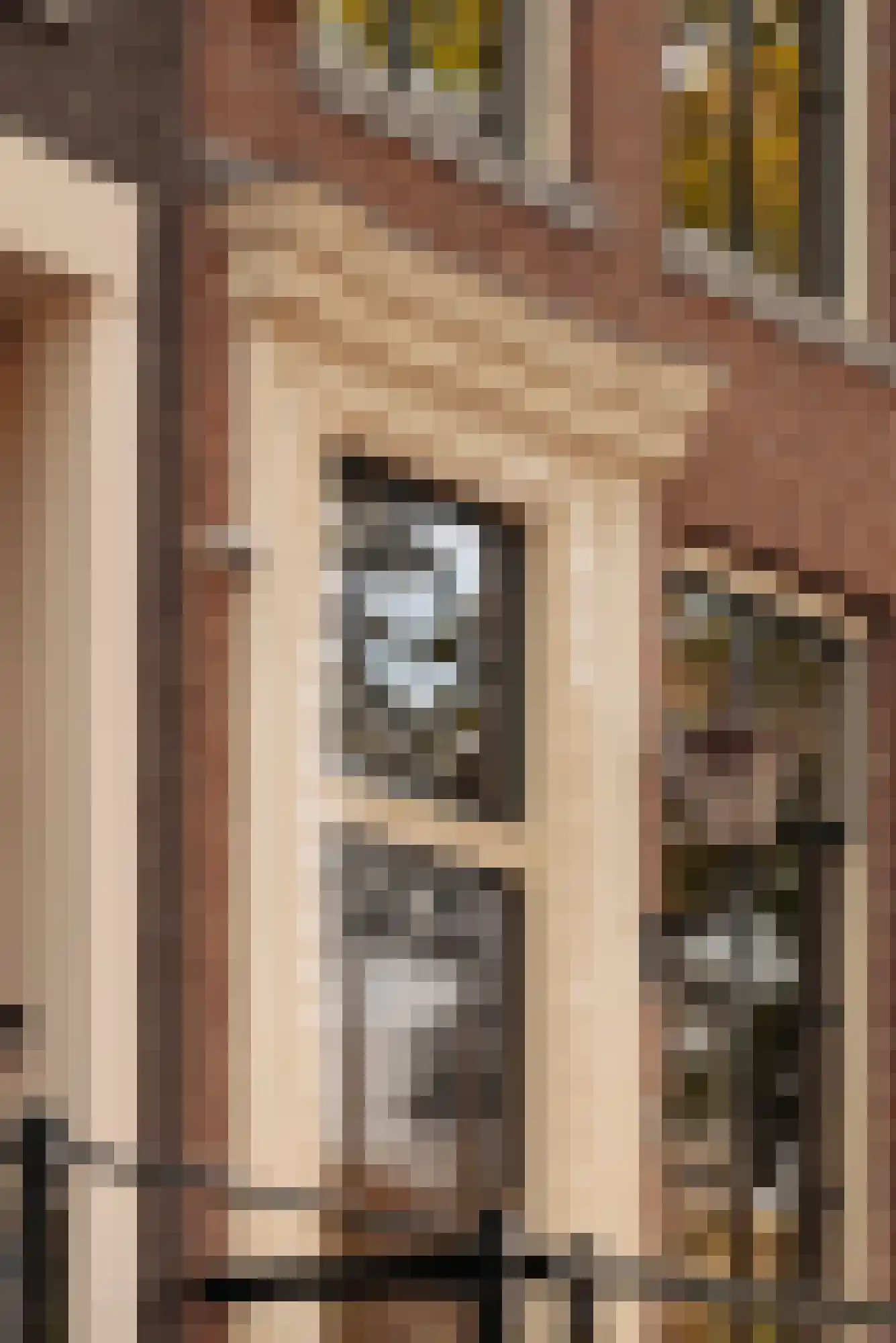 Nieuwe Keizersgracht 54 Amsterdam thumbnail 7
