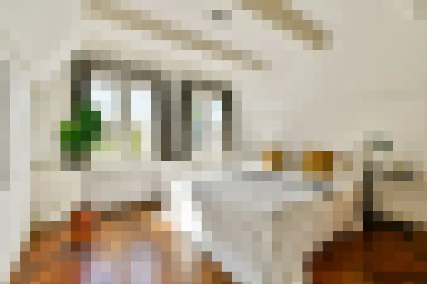 Nieuwe Keizersgracht 60 1 Amsterdam thumbnail 22