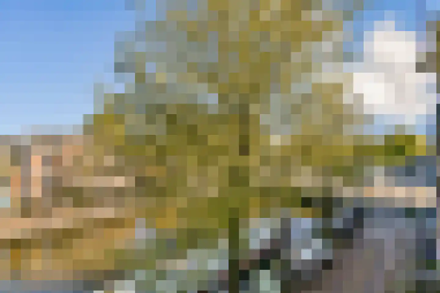 Nieuwe Keizersgracht 60 1 Amsterdam thumbnail 5