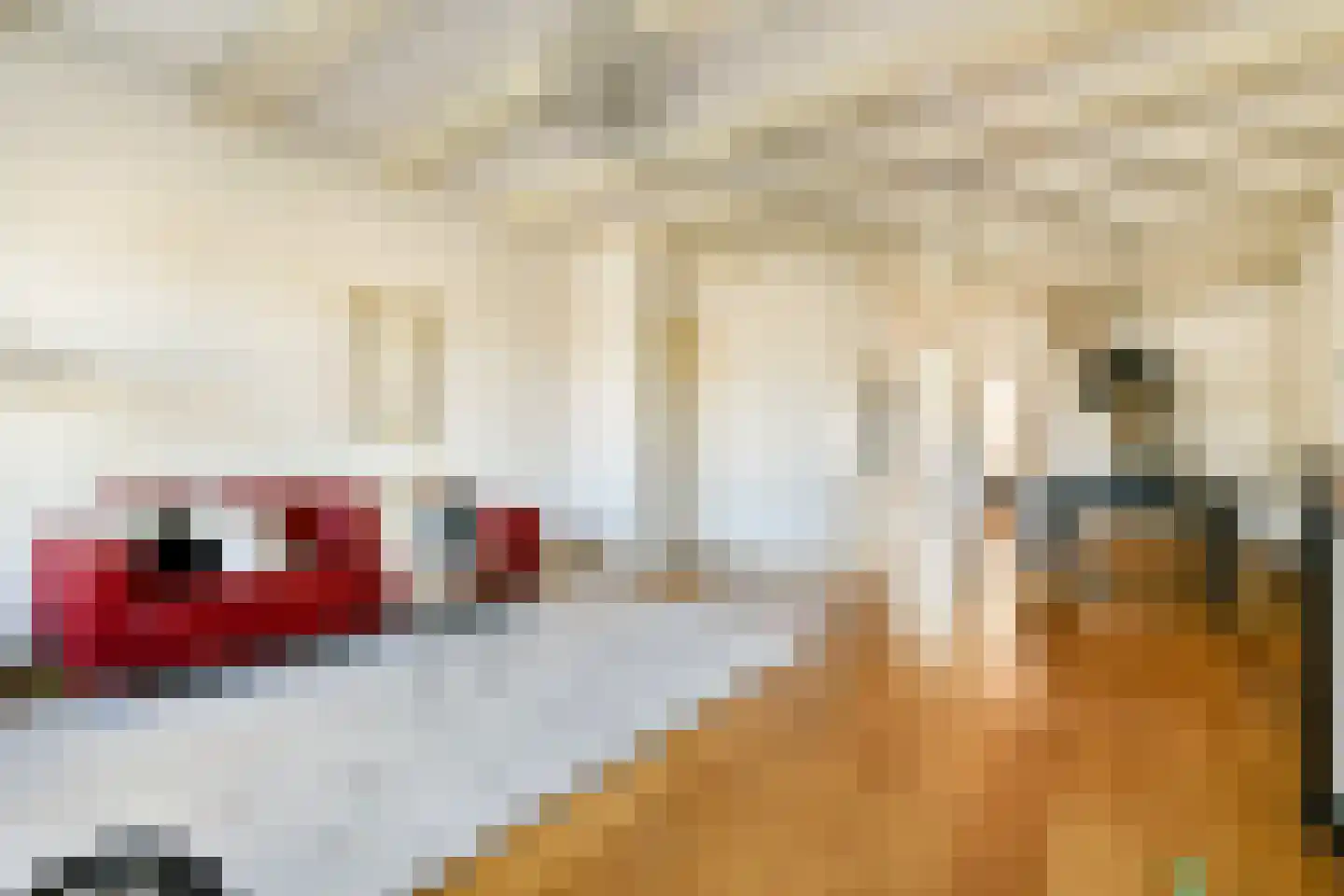 Nieuwe Keizersgracht 60 1 Amsterdam thumbnail 7