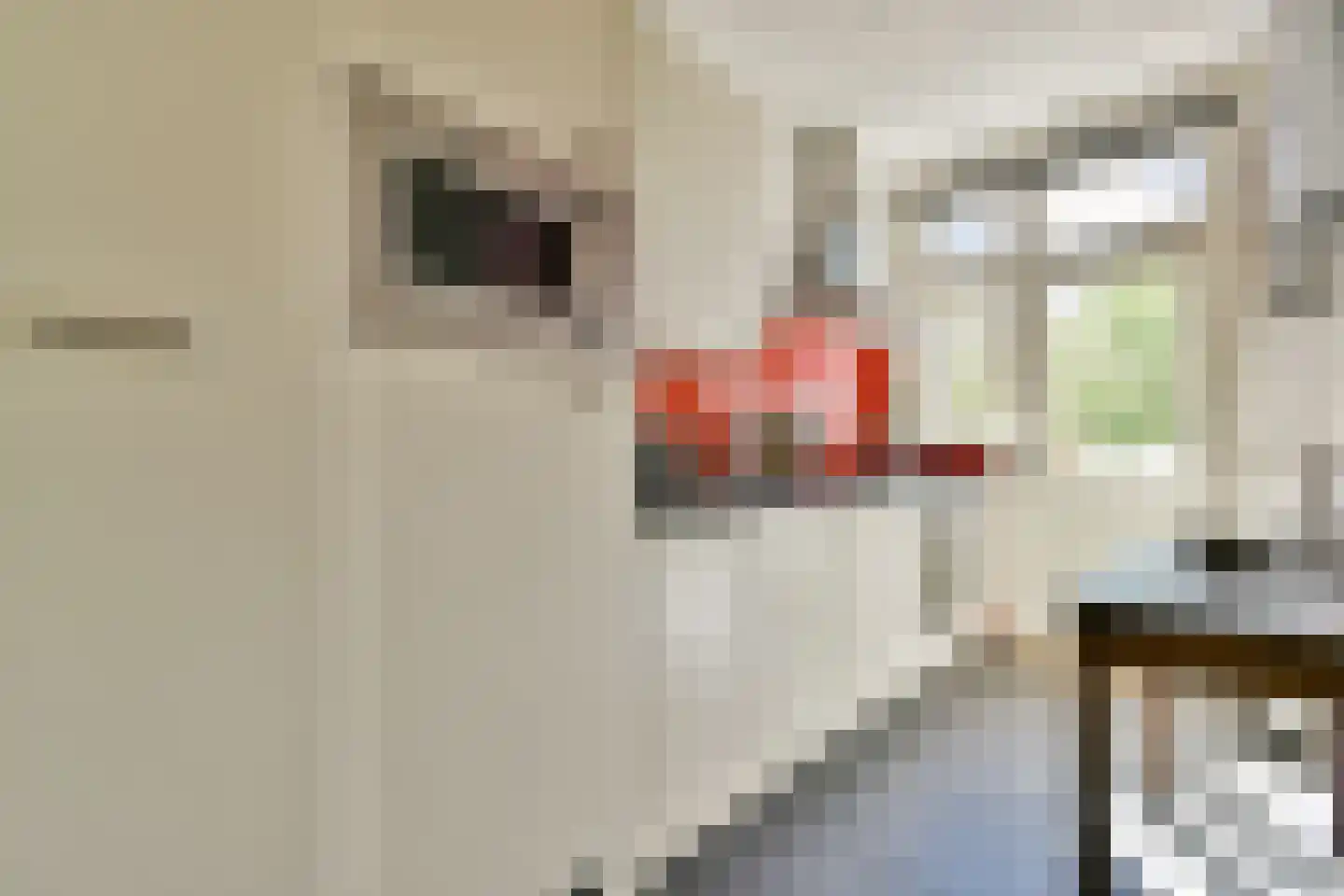 Nieuwe Keizersgracht 60 3 Amsterdam thumbnail 12