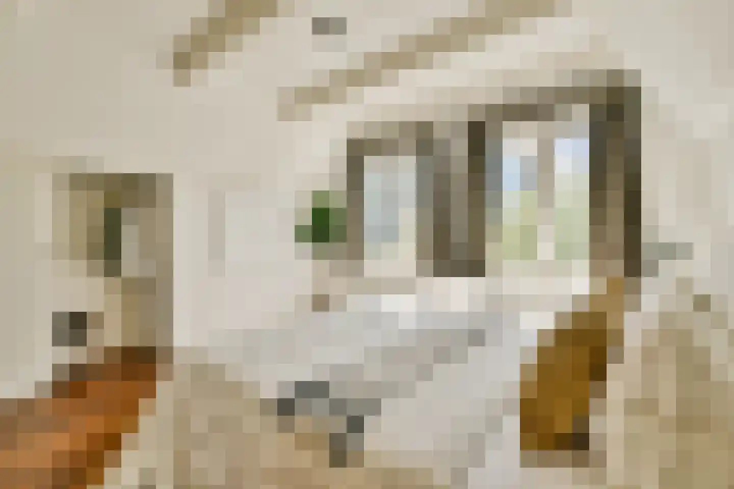 Nieuwe Keizersgracht 60 3 Amsterdam thumbnail 23