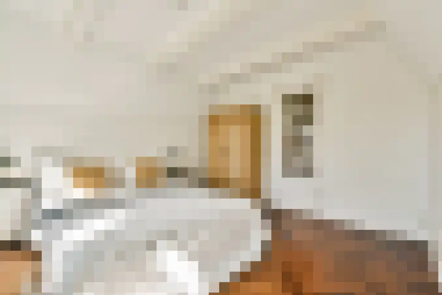 Nieuwe Keizersgracht 60 3 Amsterdam thumbnail 24