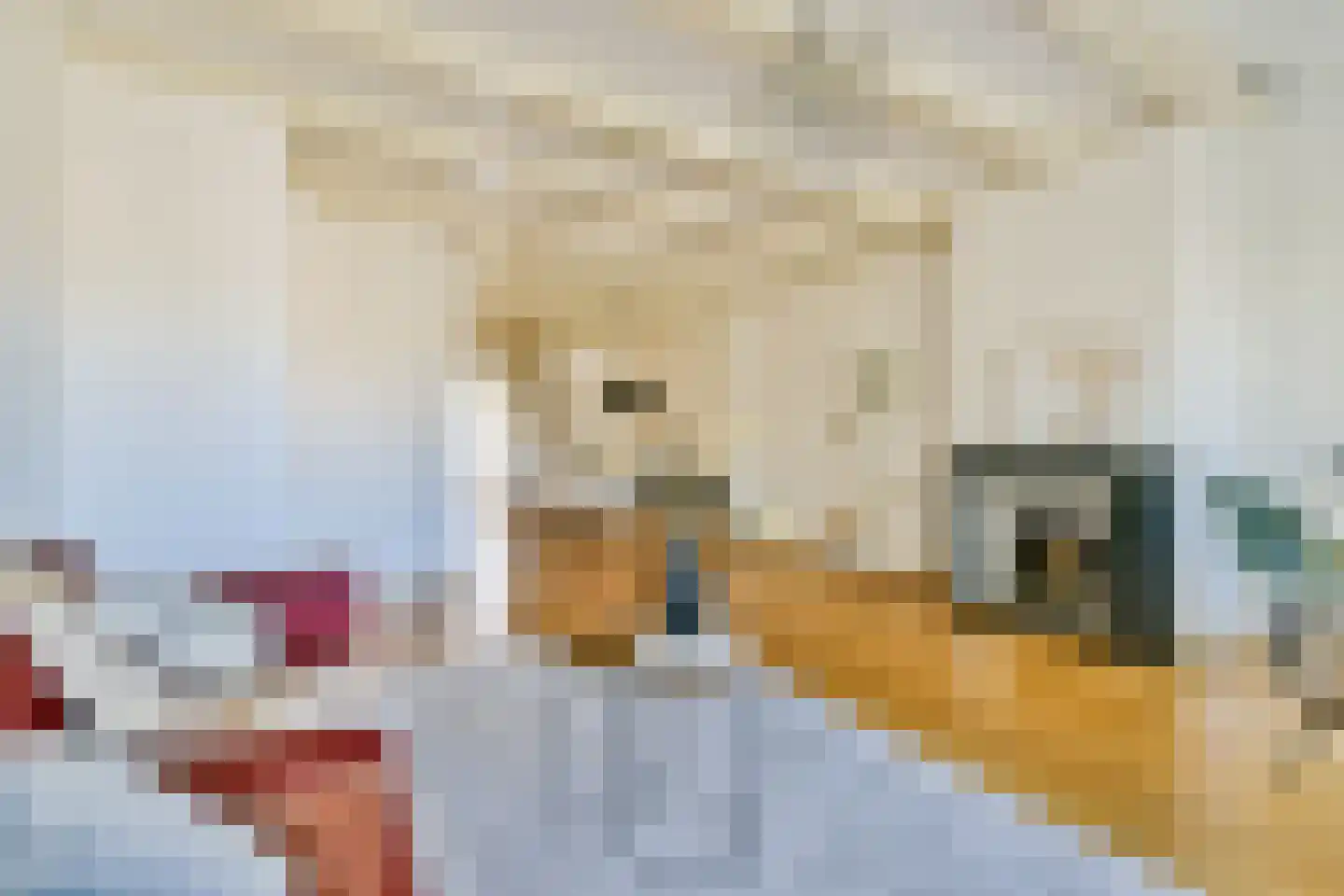 Nieuwe Keizersgracht 60 H Amsterdam thumbnail 9
