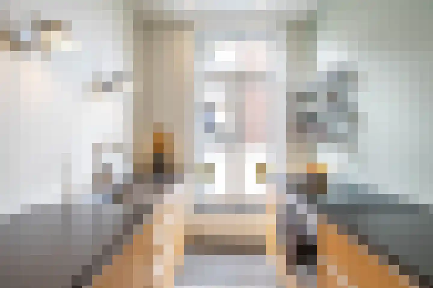 Nieuwe Kerkhof 14 a Groningen thumbnail 23