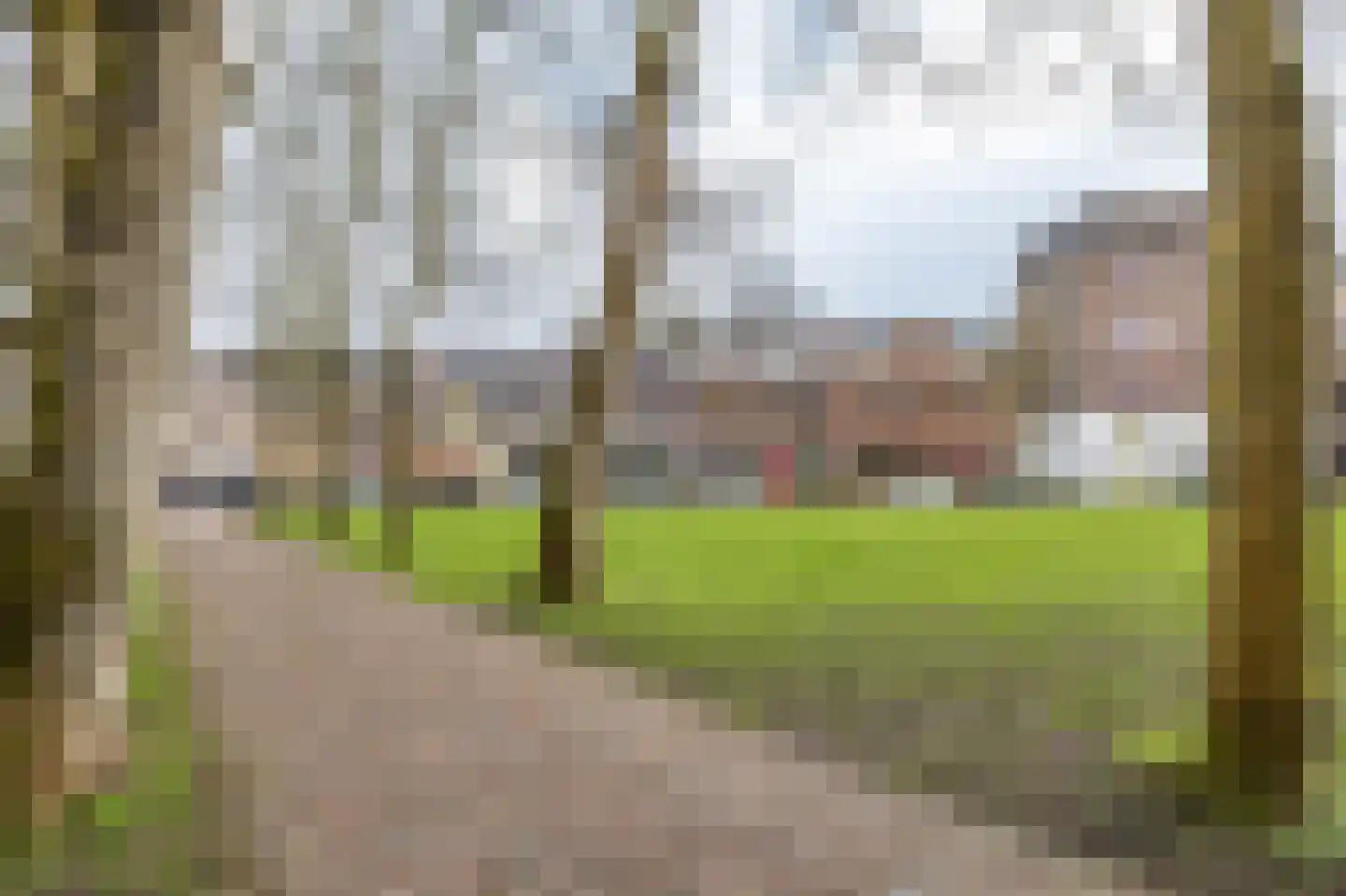 Nieuwe Kerkhof 14 a Groningen thumbnail 43