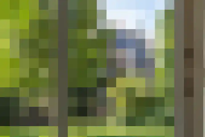 Nieuwe Kerkhof 14 Groningen thumbnail 30