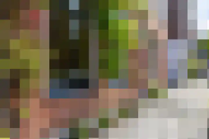 Nieuwe Kerkhof 14 Groningen thumbnail 4