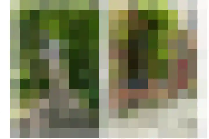 Nieuwe Kerkhof 14 Groningen thumbnail 5