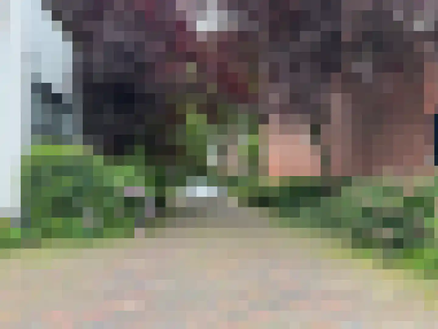 Nieuwe Kerkhof 22 Groningen thumbnail 11