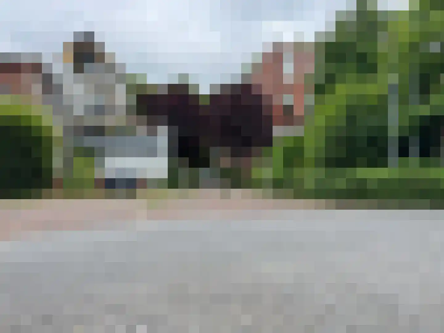 Nieuwe Kerkhof 22 Groningen thumbnail 9