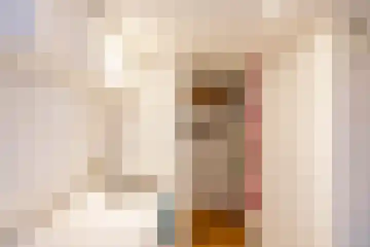 Nieuwe Kerkhof 25 Groningen thumbnail 14
