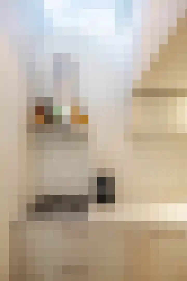 Nieuwe Kerkhof 25 Groningen thumbnail 15
