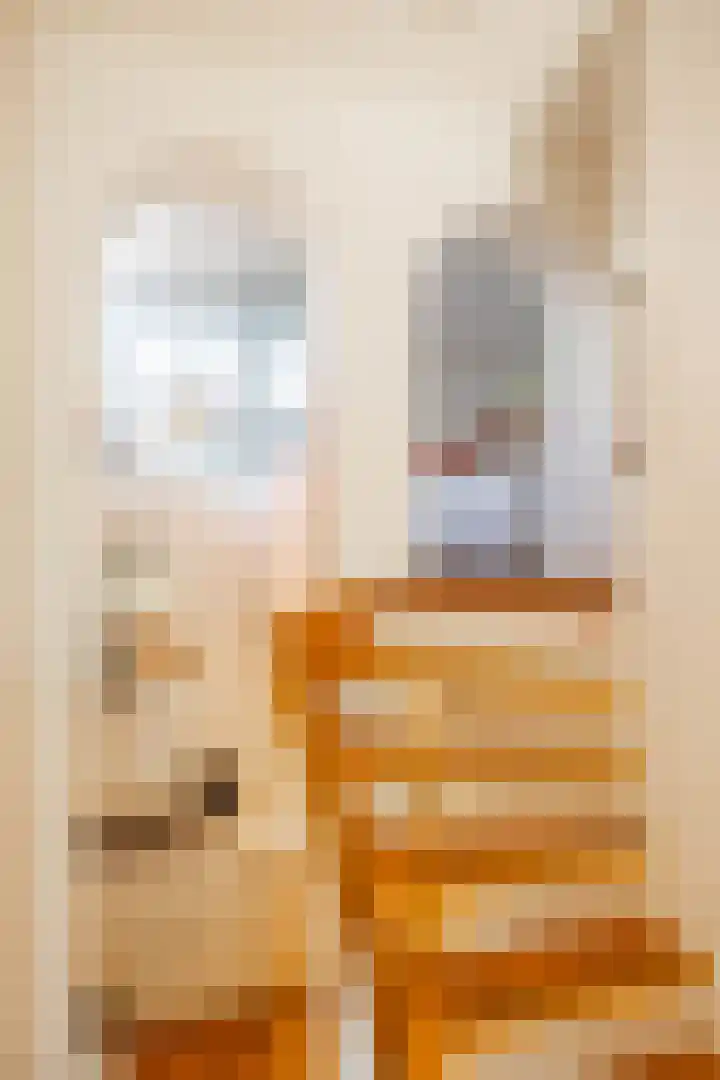 Nieuwe Kerkhof 25 Groningen thumbnail 23