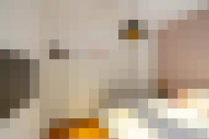 Nieuwe Kerkhof 25 Groningen thumbnail 30