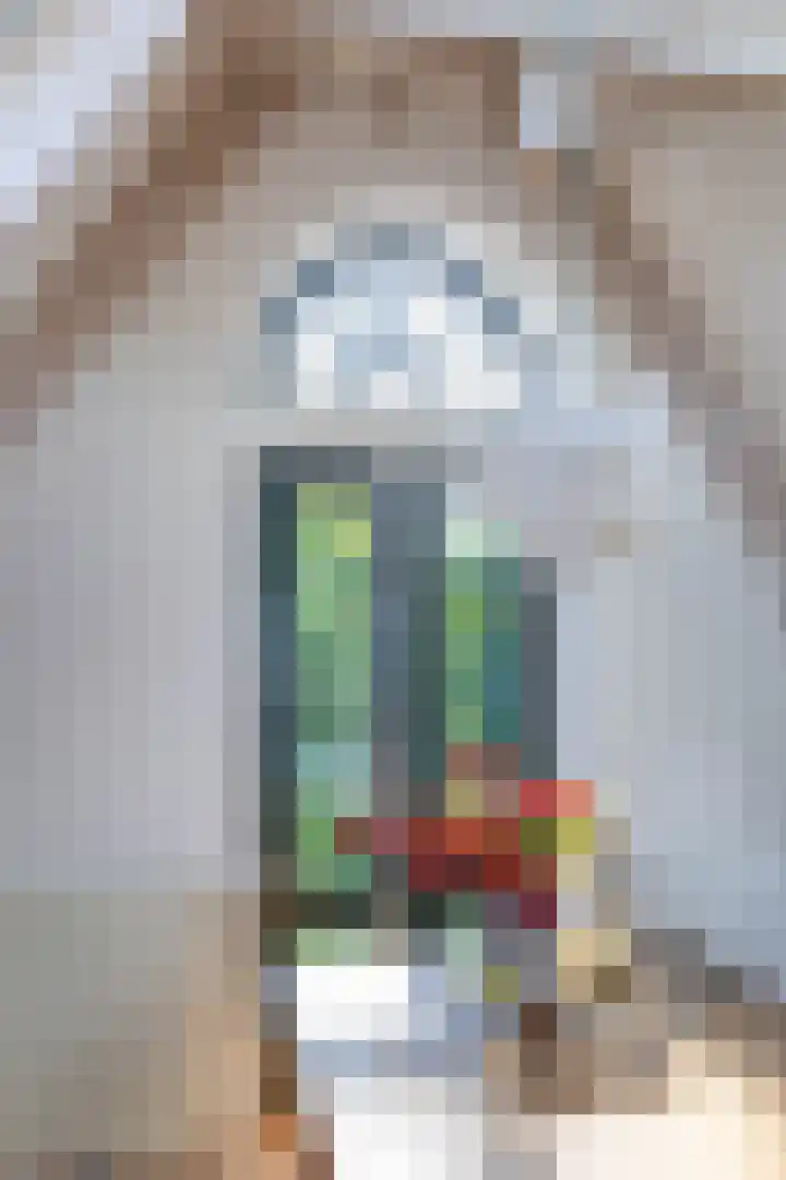 Nieuwe Kerkhof 25 Groningen thumbnail 40