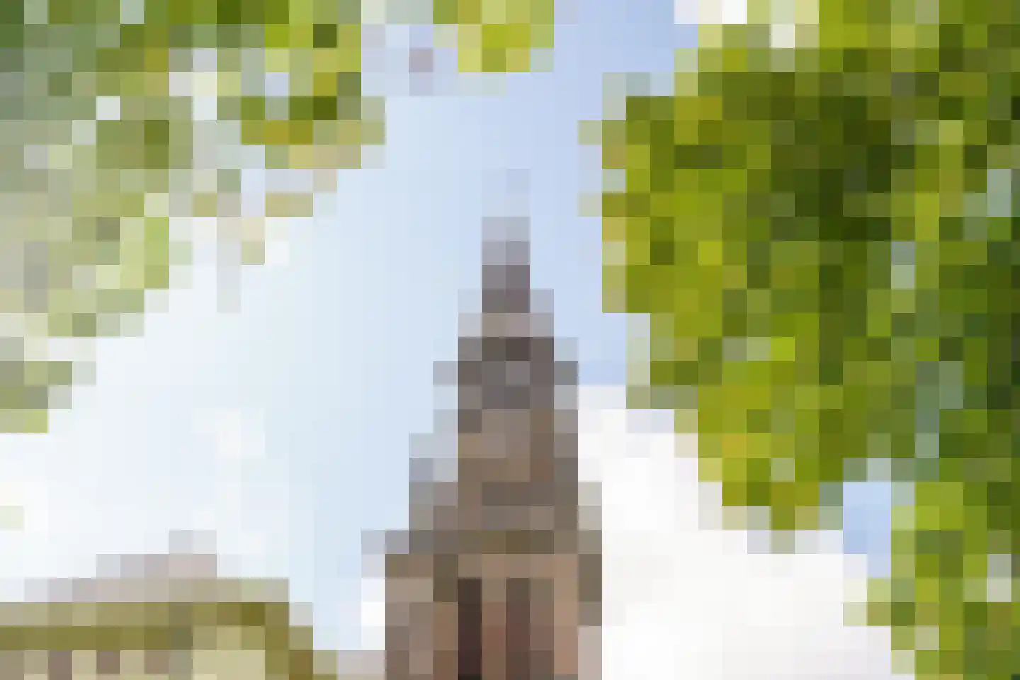 Nieuwe Kerksplein 1 B Haarlem thumbnail 25
