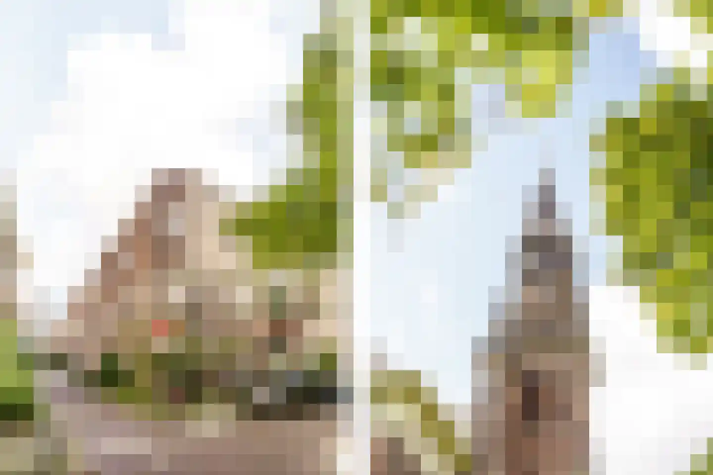 Nieuwe Kerksplein 1 B Haarlem thumbnail 6