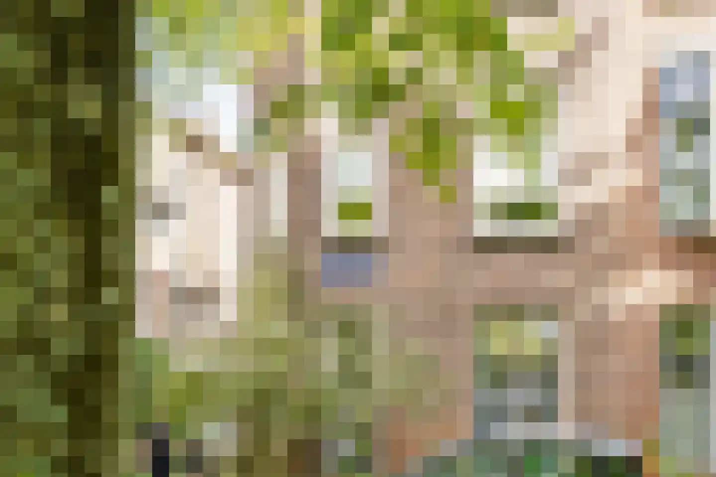 Nieuwe Kerksplein 1 B Haarlem thumbnail 8