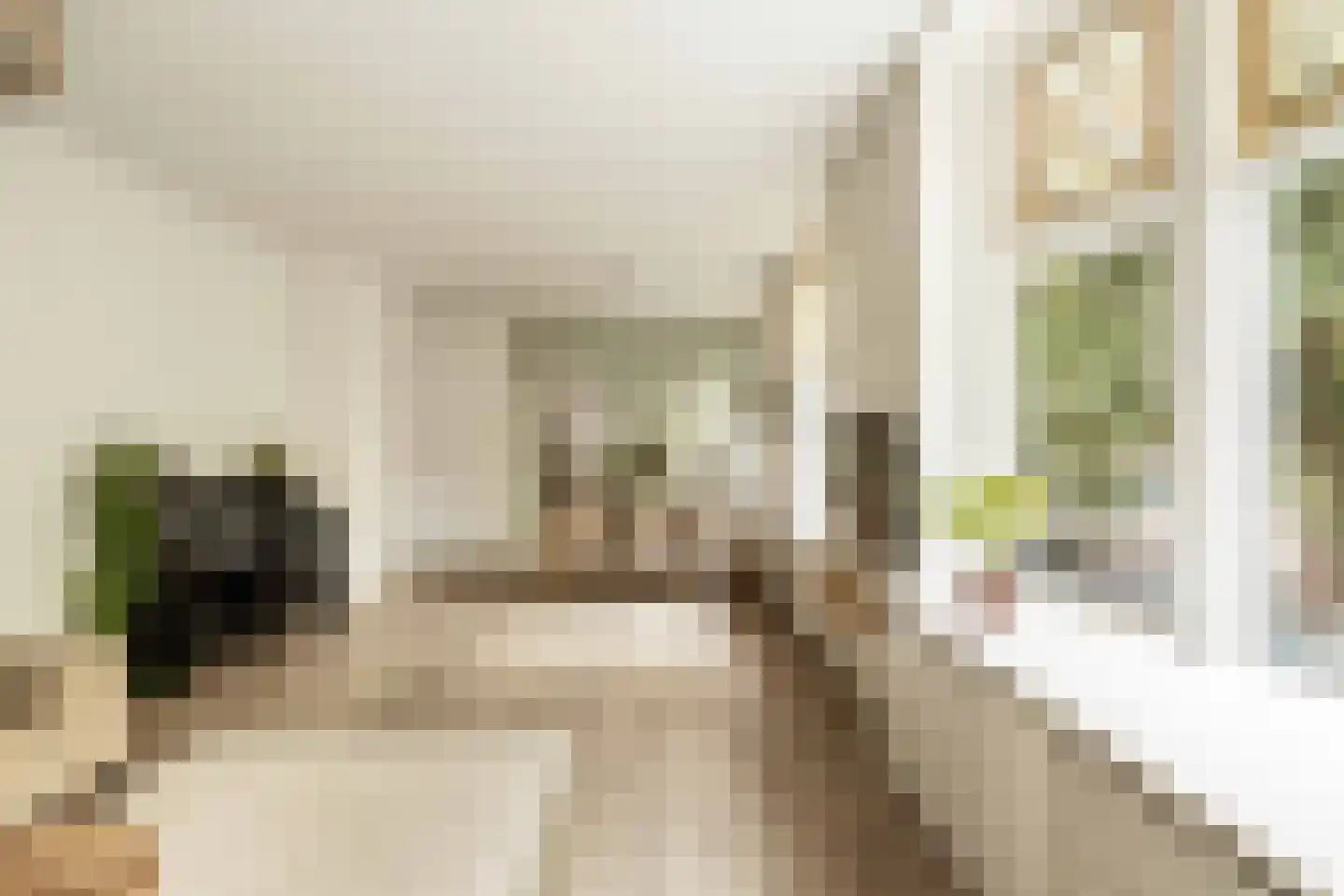 Nieuwe Kerksplein 3 RD Haarlem thumbnail 15
