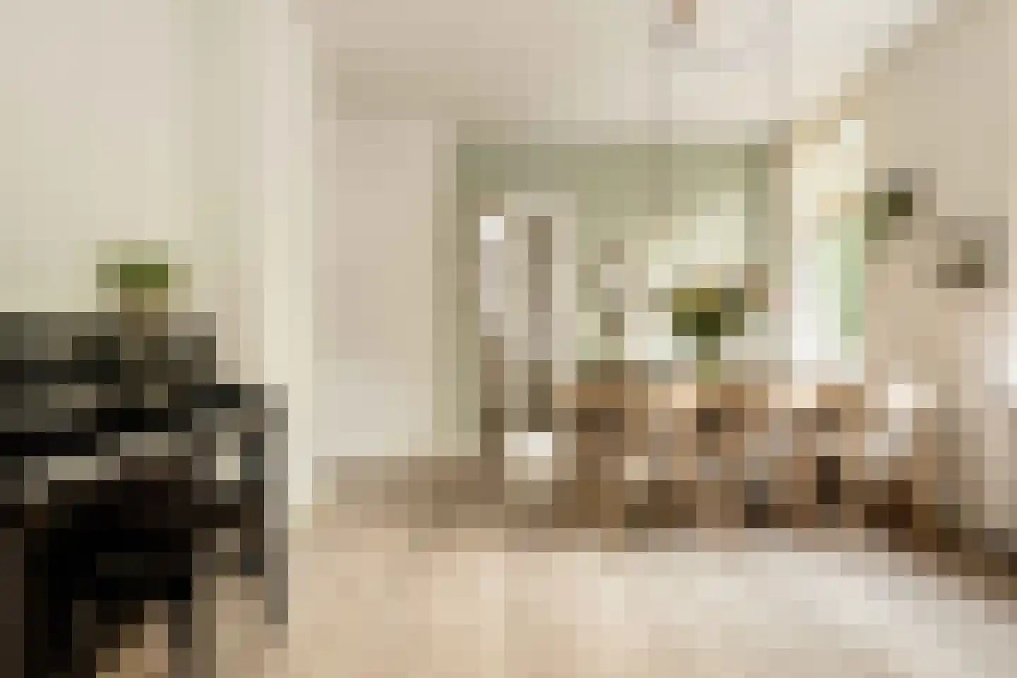 Nieuwe Kerksplein 3 RD Haarlem thumbnail 16