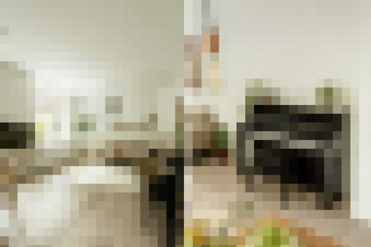 Nieuwe Kerksplein 3 RD Haarlem thumbnail 18