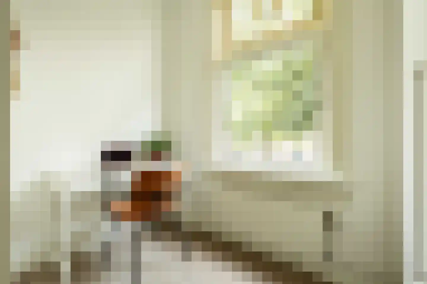 Nieuwe Kerksplein 3 RD Haarlem thumbnail 23