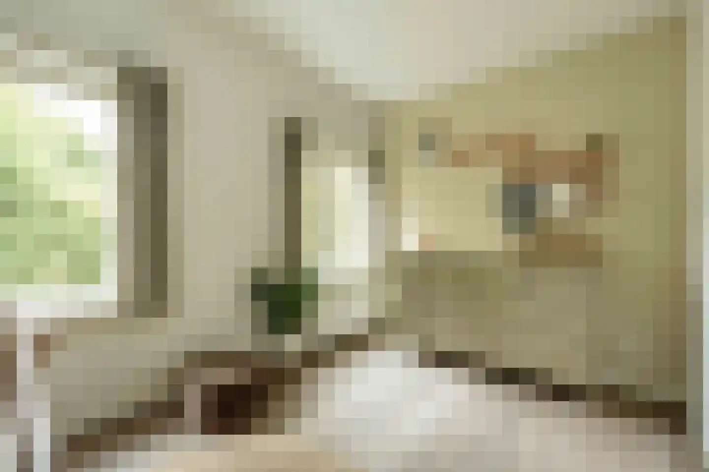 Nieuwe Kerksplein 3 RD Haarlem thumbnail 31
