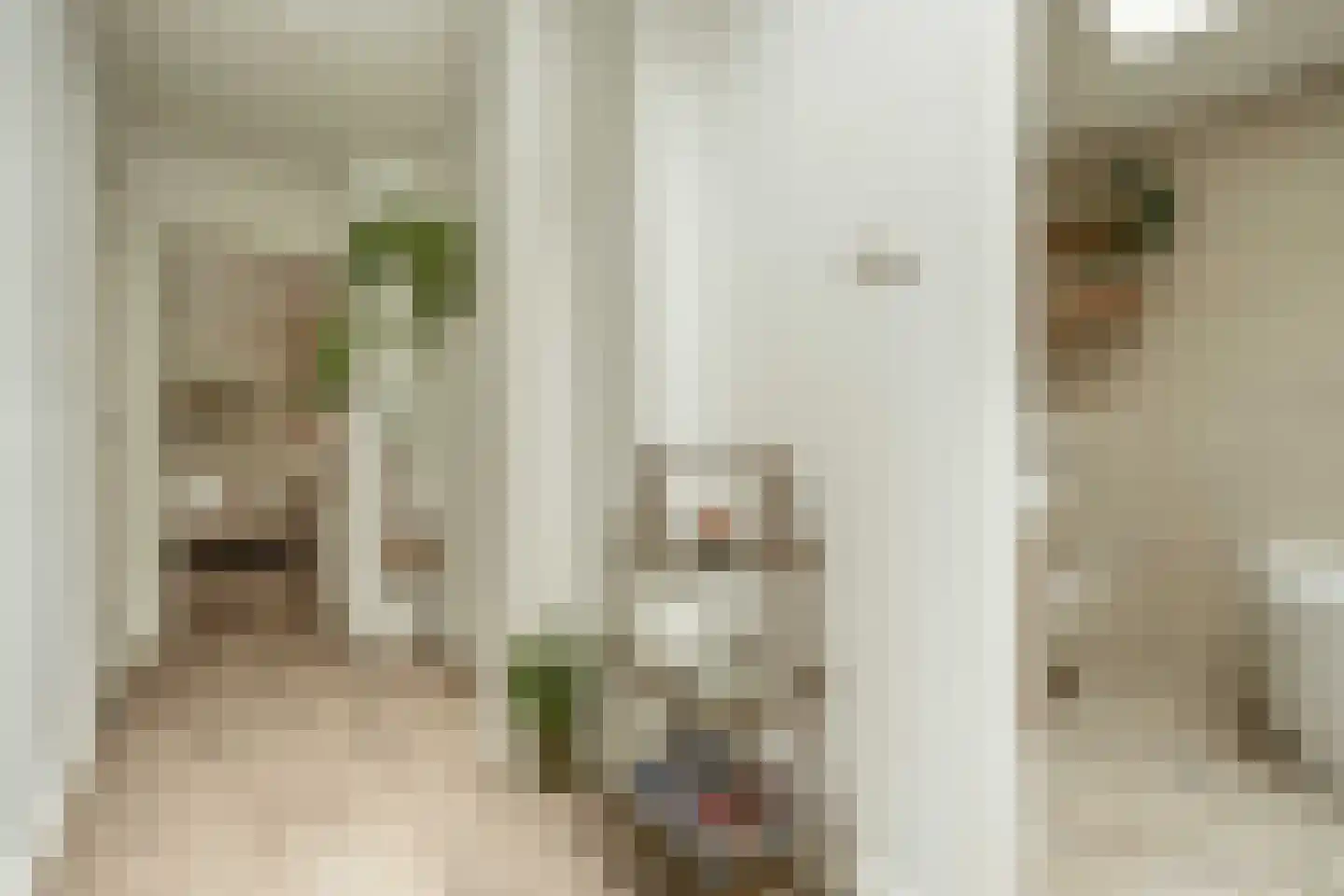 Nieuwe Kerksplein 3 RD Haarlem thumbnail 35