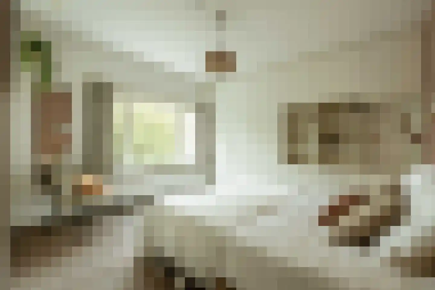 Nieuwe Kerksplein 3 RD Haarlem thumbnail 4