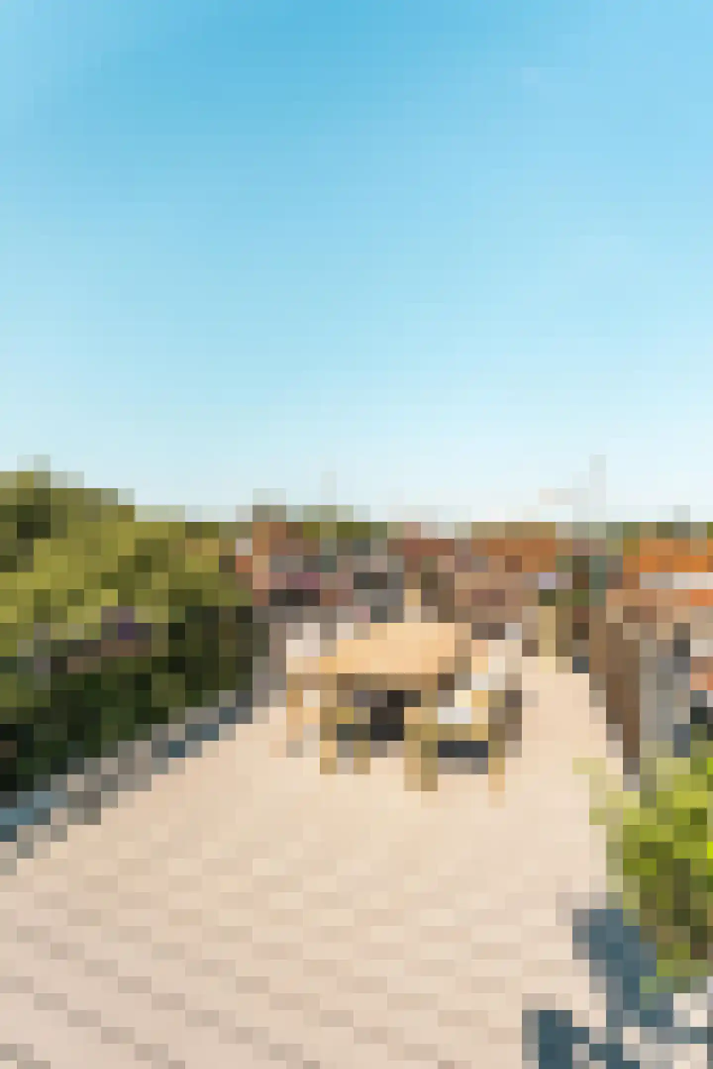 Nieuwe Kerksplein 3 RD Haarlem thumbnail 46