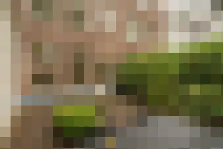 Nieuwe Kerkstraat 1 B H Amsterdam thumbnail 12