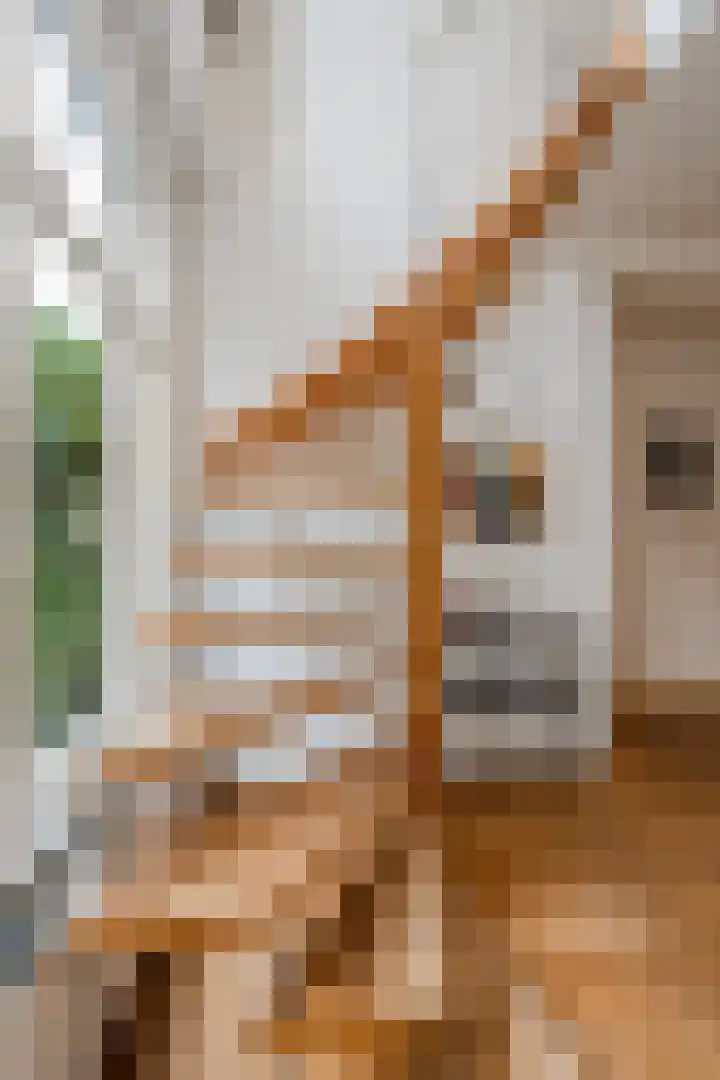 Nieuwe Kerkstraat 1 B H Amsterdam thumbnail 22