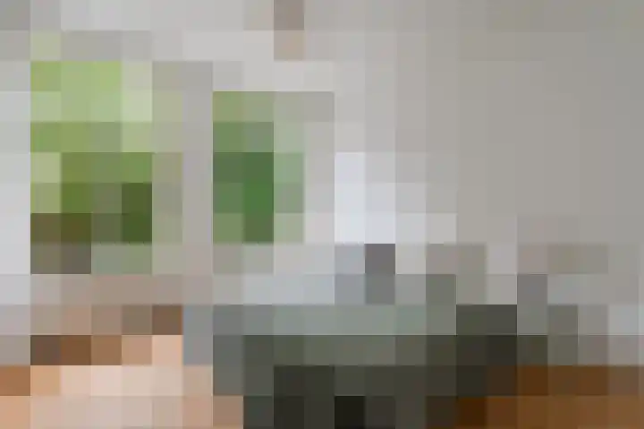 Nieuwe Kerkstraat 1 B H Amsterdam thumbnail 31