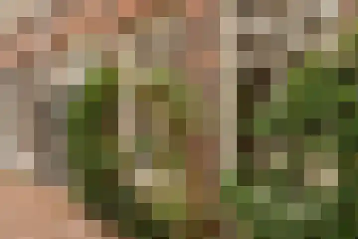 Nieuwe Kerkstraat 1 B H Amsterdam thumbnail 43