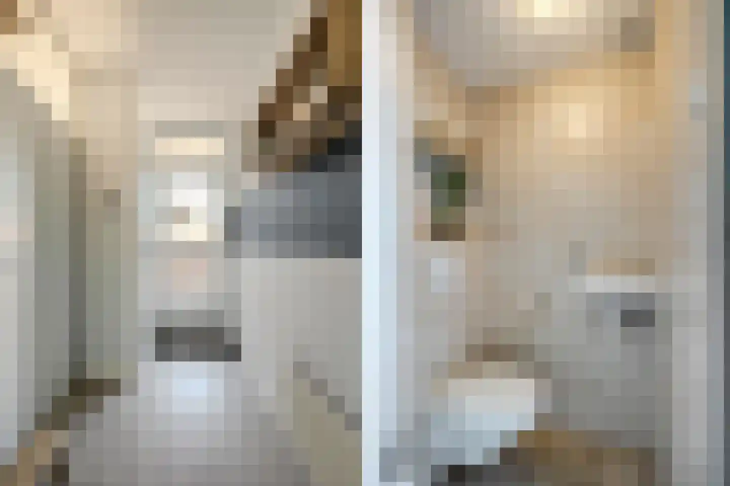Nieuwe Kerkstraat 1 Zevenbergen thumbnail 10