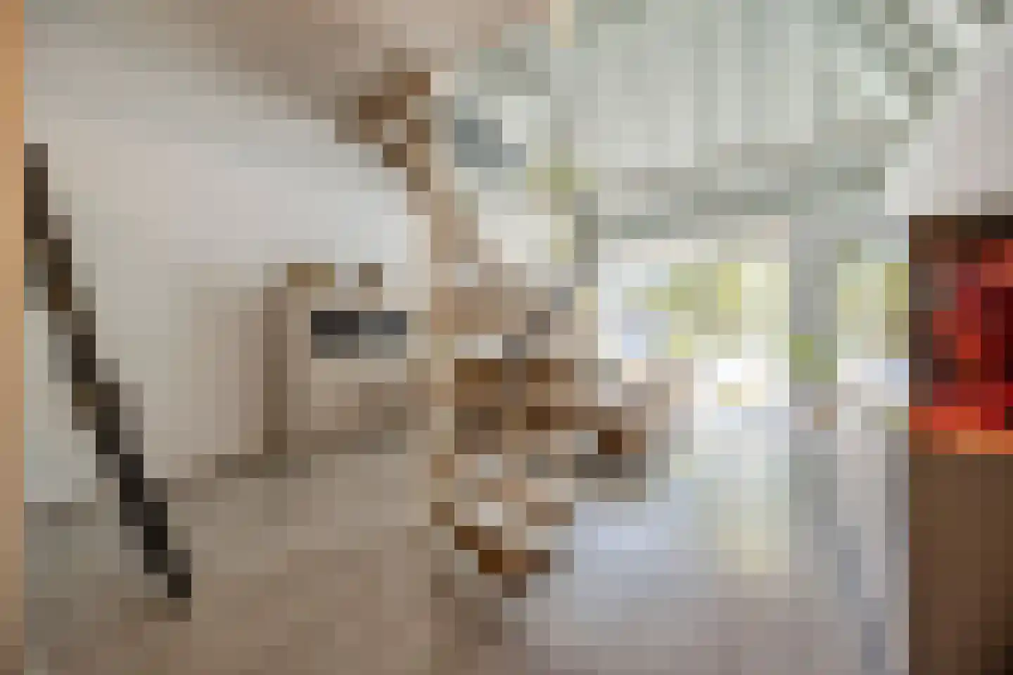 Nieuwe Kerkstraat 1 Zevenbergen thumbnail 15