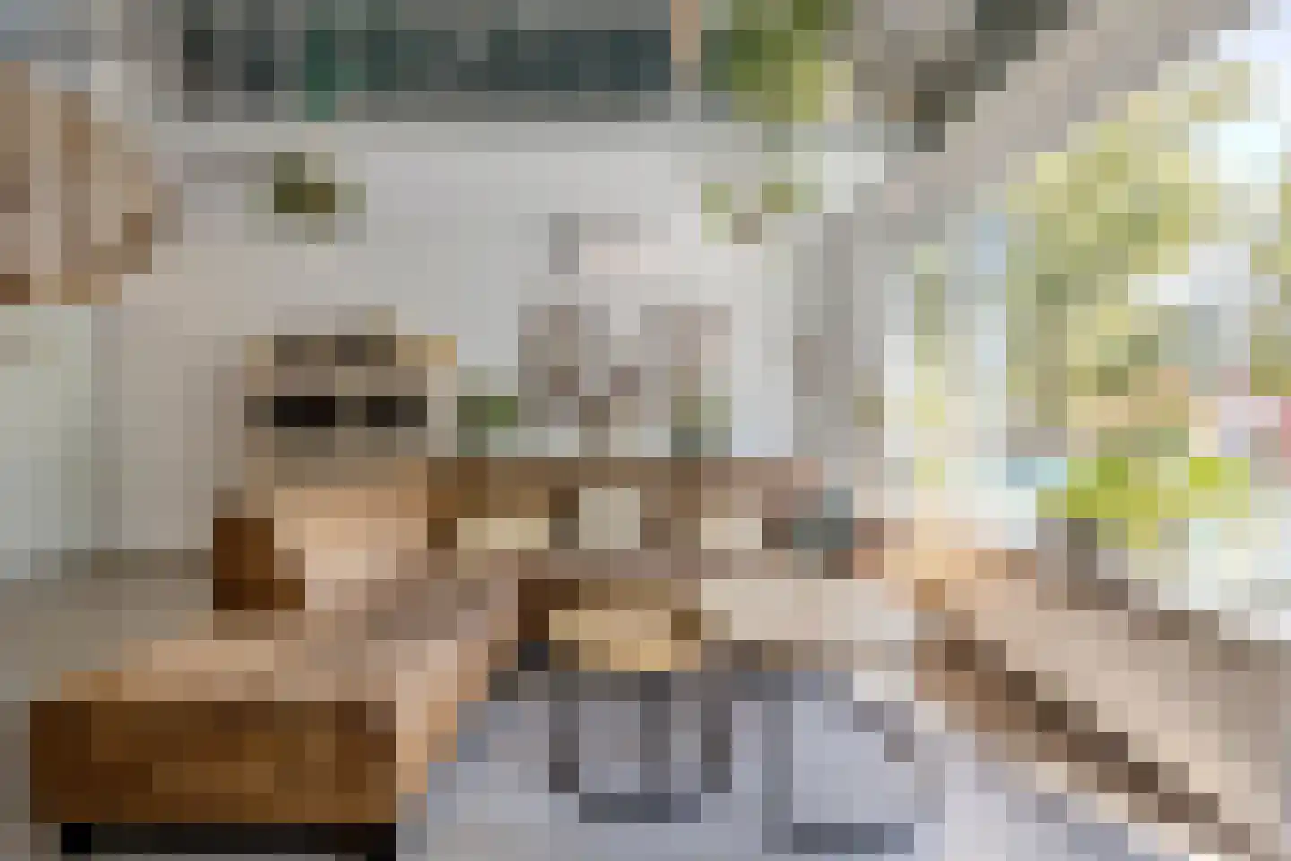 Nieuwe Kerkstraat 1 Zevenbergen thumbnail 16