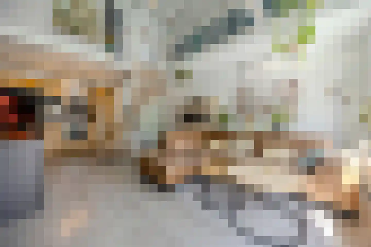 Nieuwe Kerkstraat 1 Zevenbergen thumbnail 17