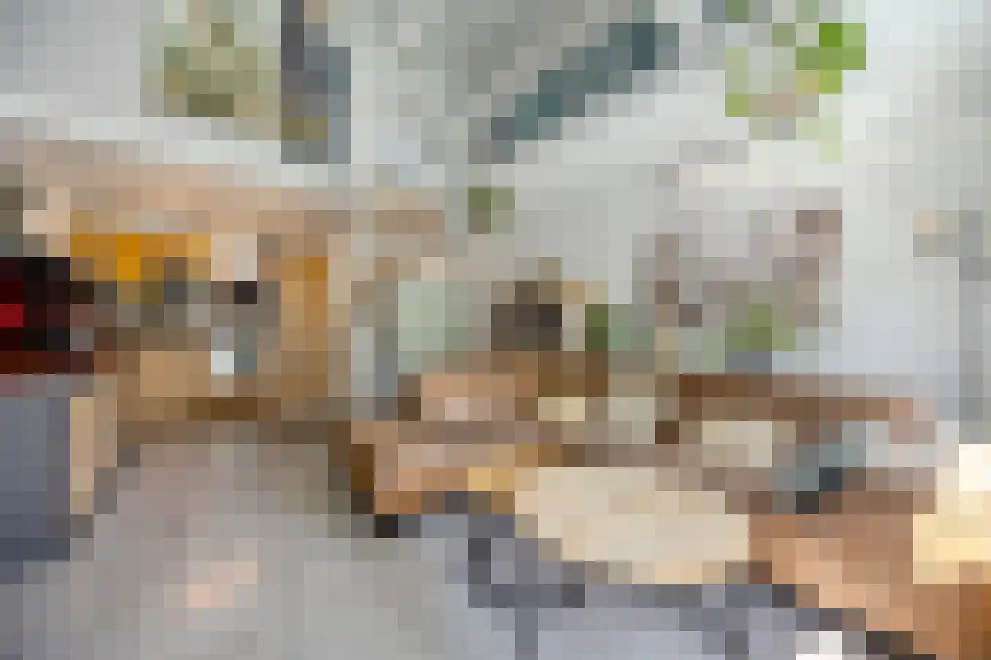 Nieuwe Kerkstraat 1 Zevenbergen thumbnail 19