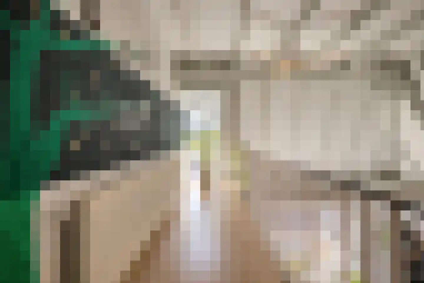 Nieuwe Kerkstraat 1 Zevenbergen thumbnail 22
