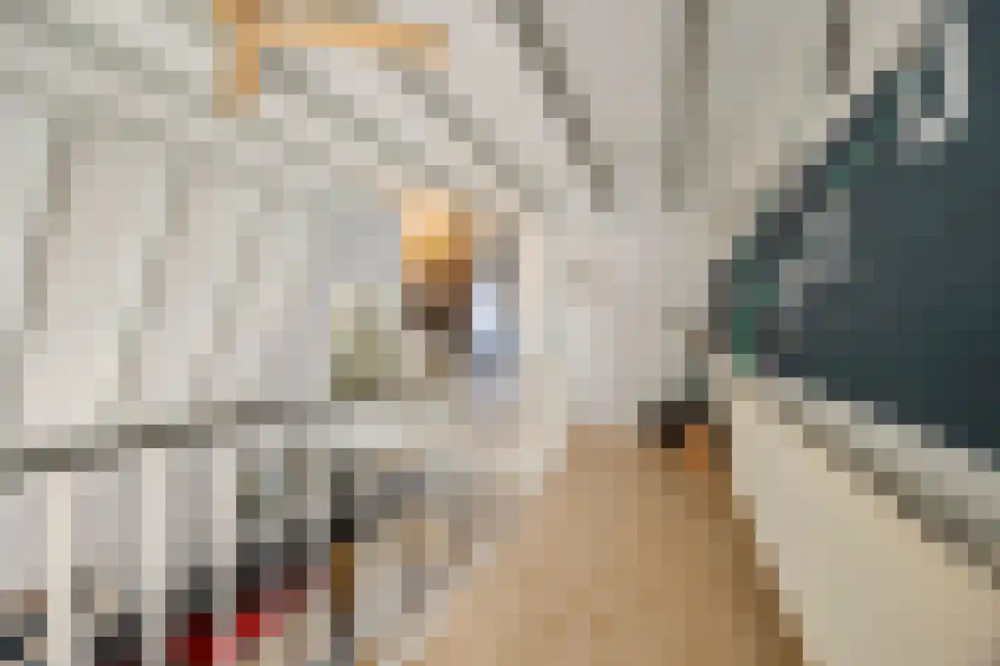 Nieuwe Kerkstraat 1 Zevenbergen thumbnail 23