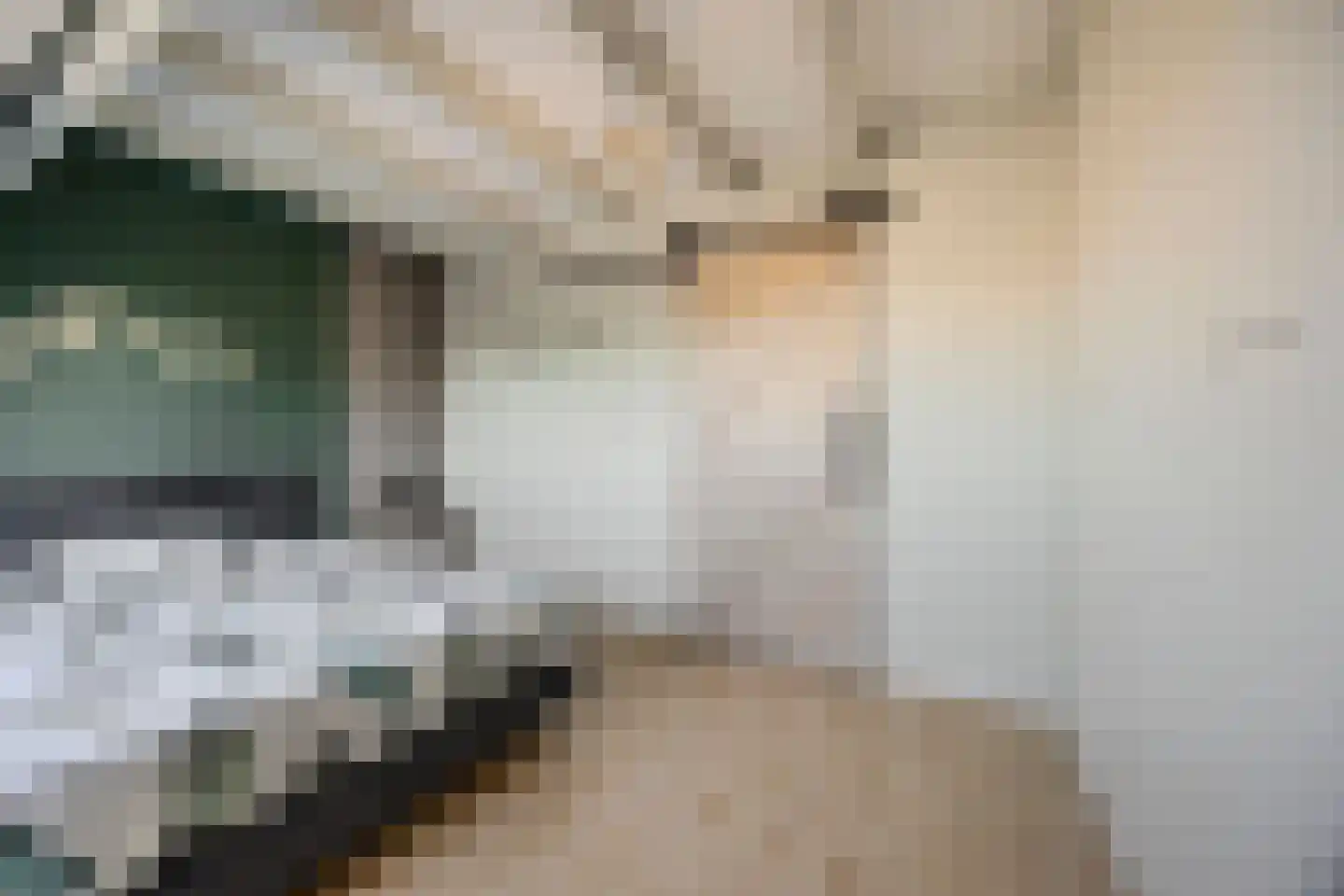 Nieuwe Kerkstraat 1 Zevenbergen thumbnail 26