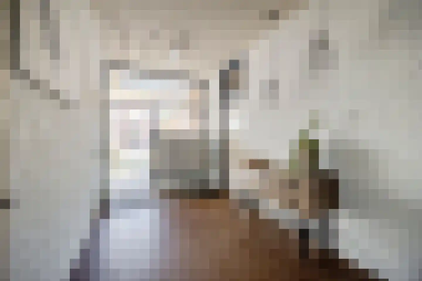 Nieuwe Kerkstraat 1 Zevenbergen thumbnail 6
